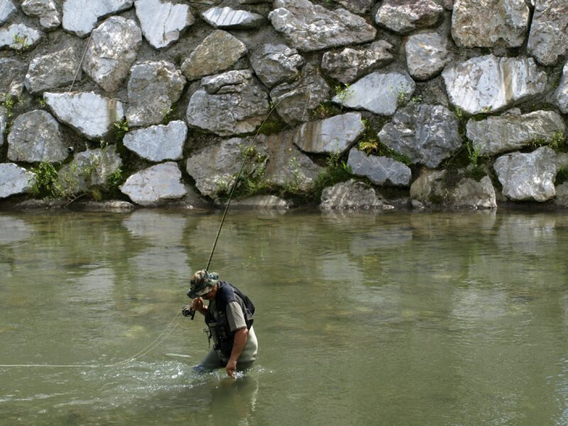 釣りのボウズの確率