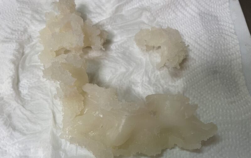 水気を切る|シーバス(スズキ),浮袋,料理,レシピ,釣果メシ