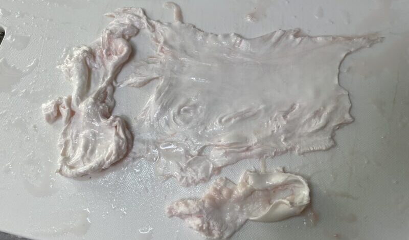 浮袋を掃除|シーバス(スズキ),浮袋,料理,レシピ,釣果メシ