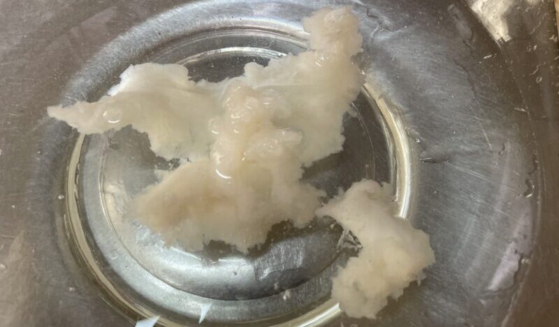 水洗い|シーバス(スズキ),浮袋,料理,レシピ,釣果メシ