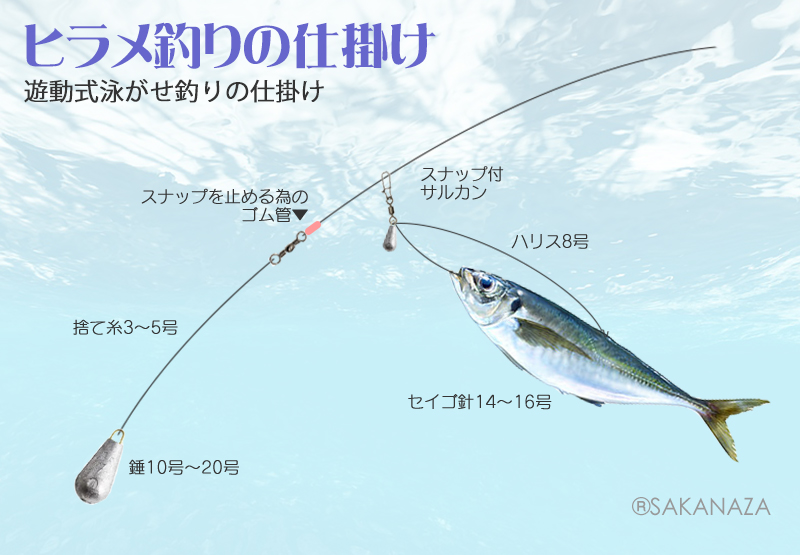 ヒラメ泳がせ釣り遊動式｜ヒラメ釣りの仕掛け図解