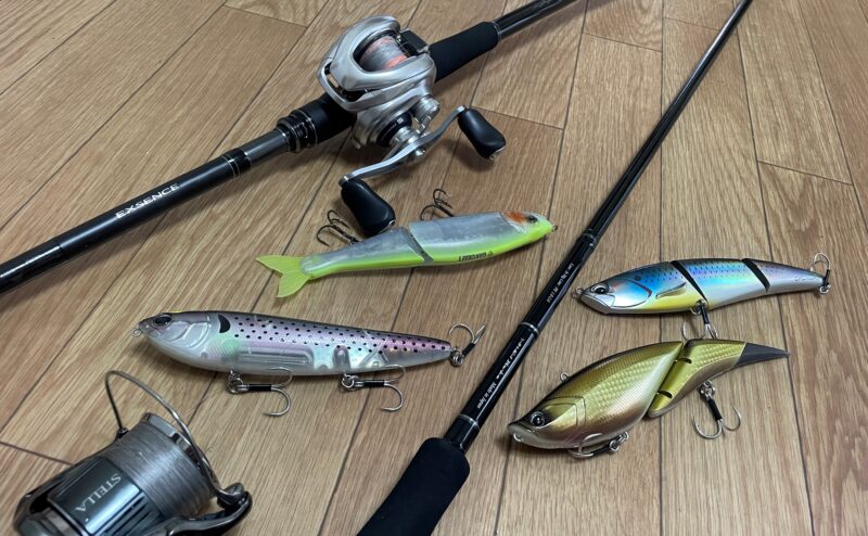 ロッド｜シーバス,ビッグベイト,タックル,選び方