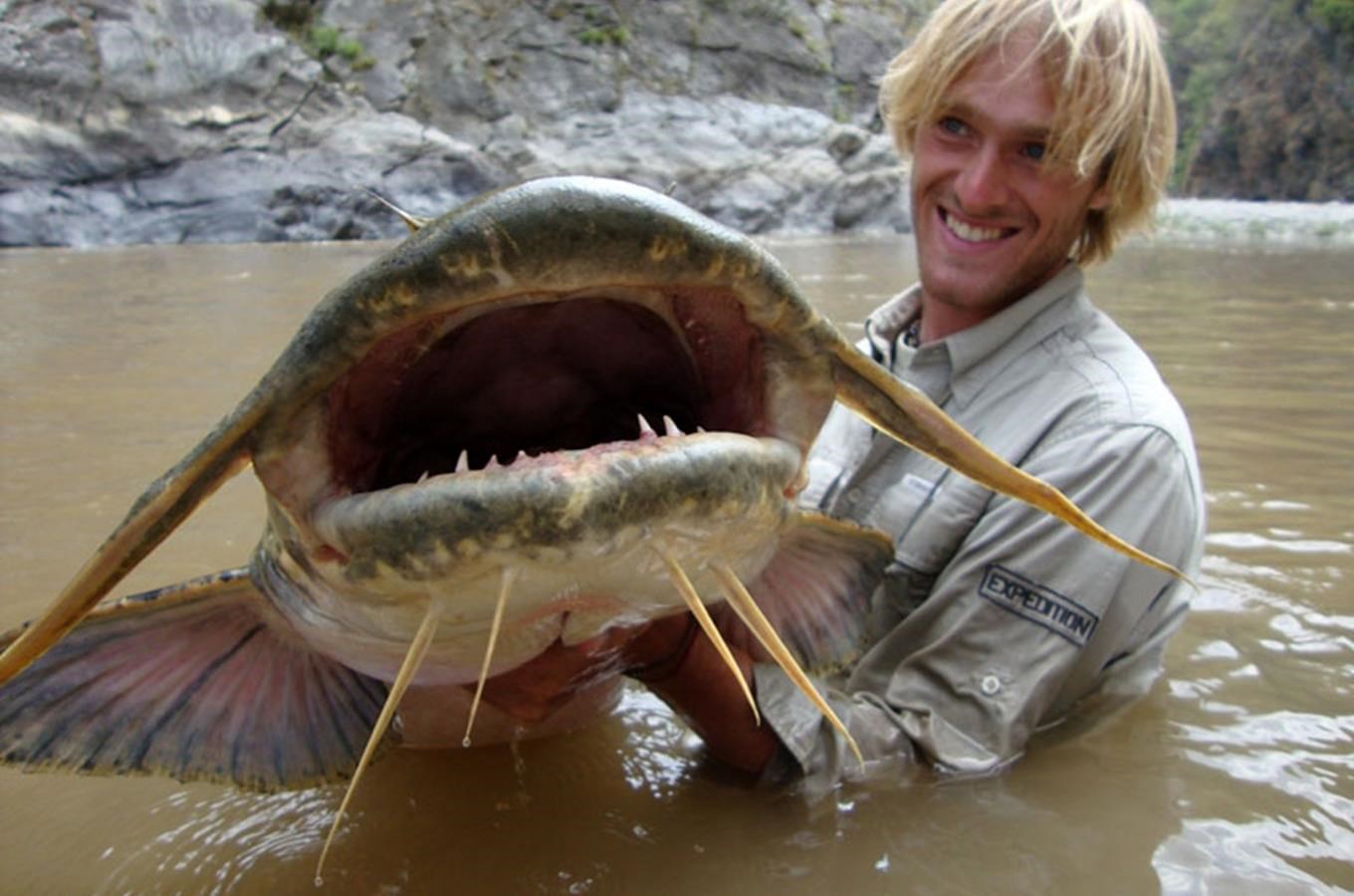 ゴーンチ｜恐ろしい殺傷事件の前例がある世界の巨大殺人淡水魚