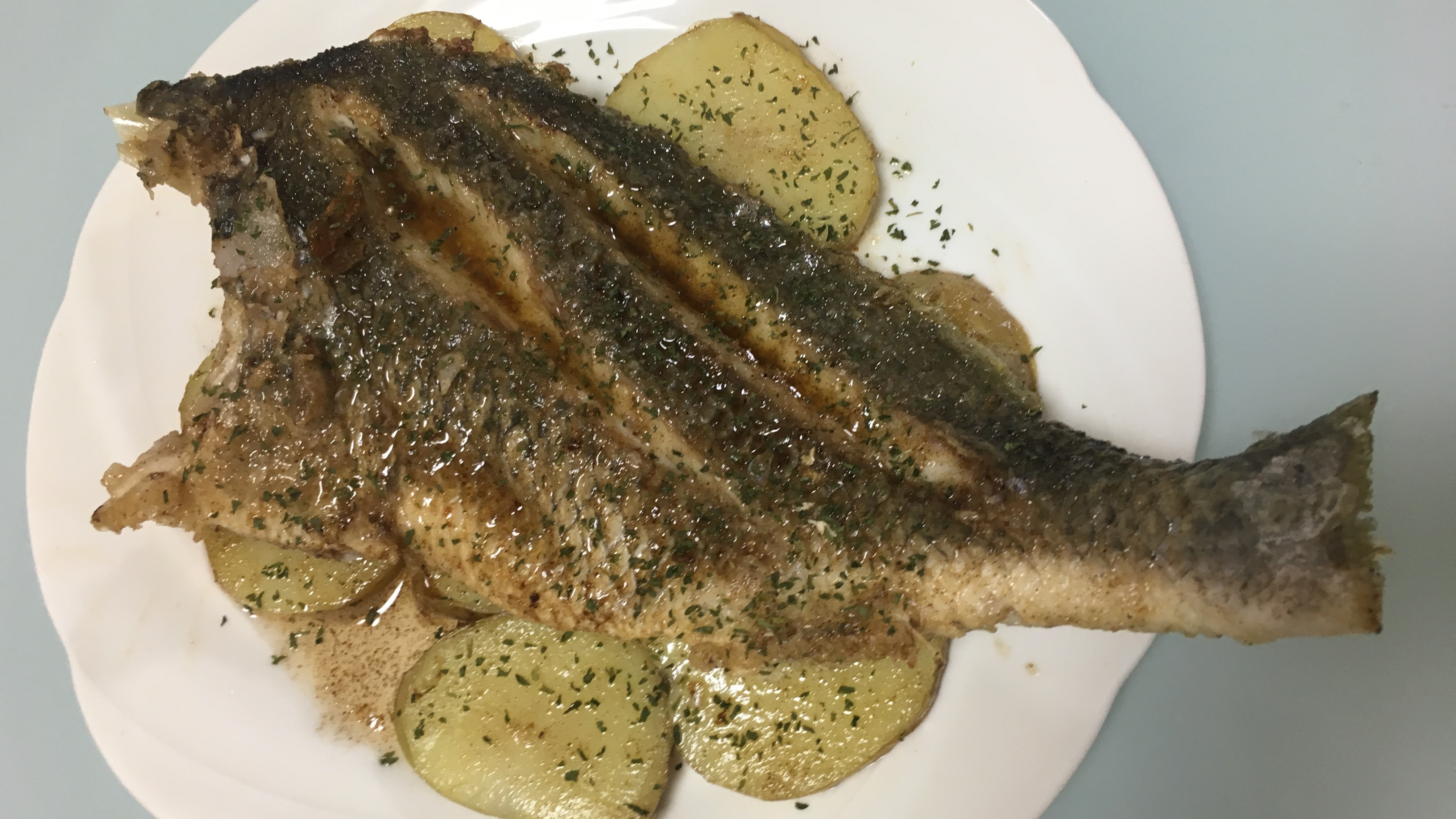 白身魚のムニエル・釣果メシ