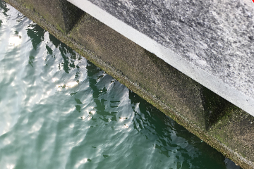 ケーソン｜チヌ(クロダイ),落とし込み,ポイント