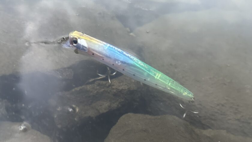 水嚙みの良さ,実釣｜カウンターウェイク 120F,インプレ