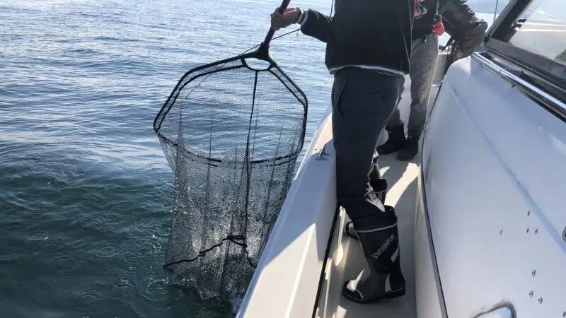 釣り具の保険の内容