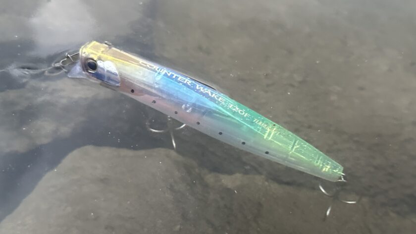 実釣｜カウンターウェイク 120F,インプレ
