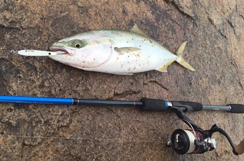 春,ショアジギング,青物,釣り方