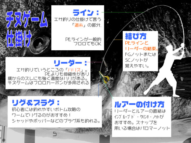 チヌゲームの仕掛け、解説