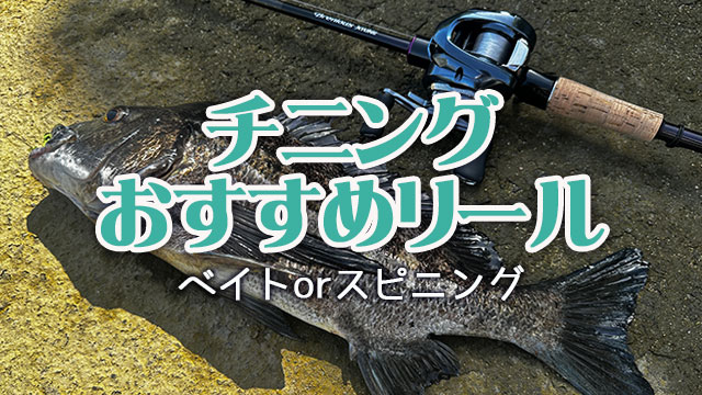 チニング,リール,おすすめベイトリール,スピニング