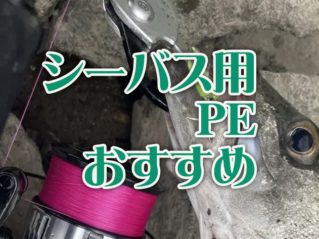シーバス,PE,おすすめ