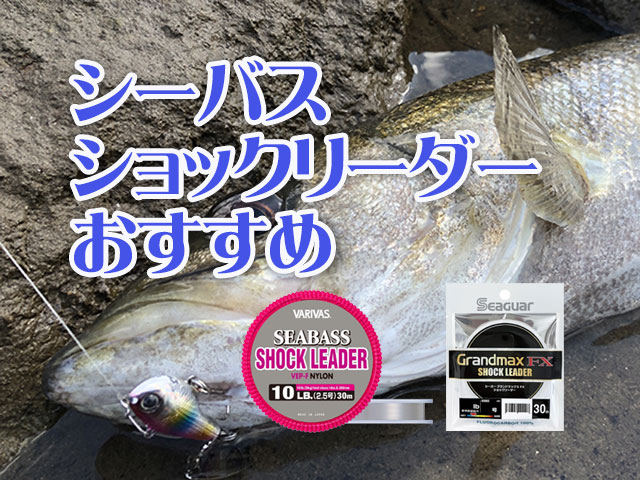 シーバス,ショックリーダー,おすすめ