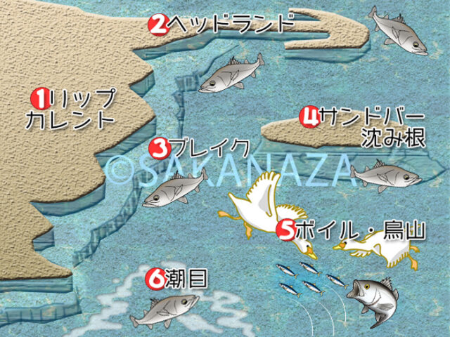 サーフ,シーバス,ポイント