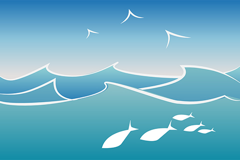 海鳥の存在、、ポイント|イワシパターンの攻略法