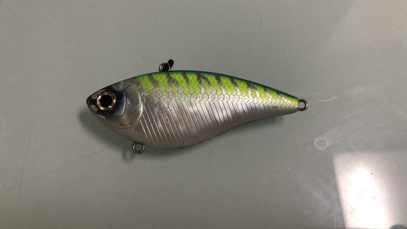バイブレーション|バス釣り,初心者,おすすめ