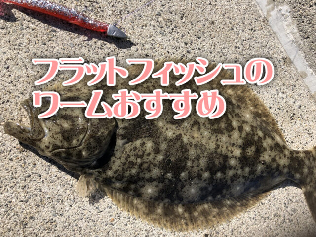 フラットフィッシュ、ワーム、おすすめ