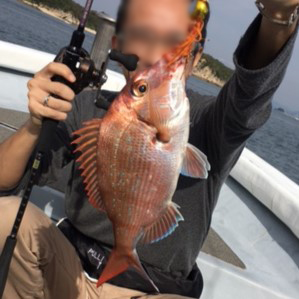 ゲンプウXTで釣った真鯛