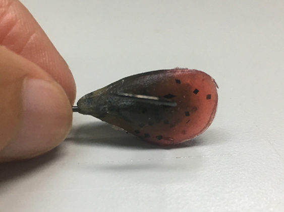 イガイワームの付け方(刺し方)