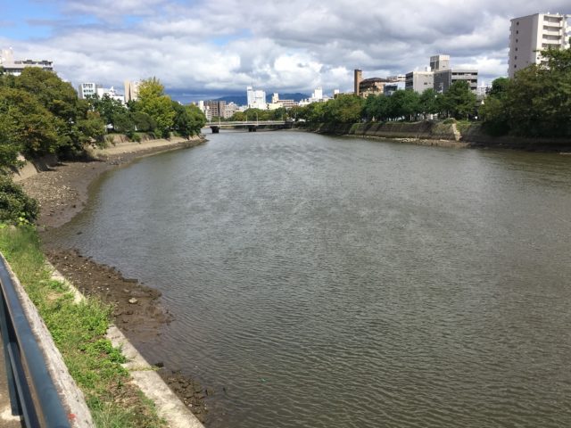 活性が高い場合のルアー選択 |チニング,釣れない,釣れる釣り方
