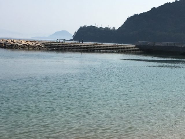 活性が低い場合のルアー選択 |チニング,釣れない,釣れる釣り方