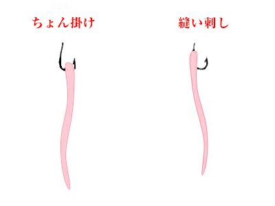 (ワーム)の付け方|タイラバ,ワーム,おすすめ