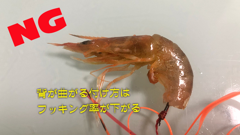 ダメな付け方｜エビラバ,使い方,釣り方