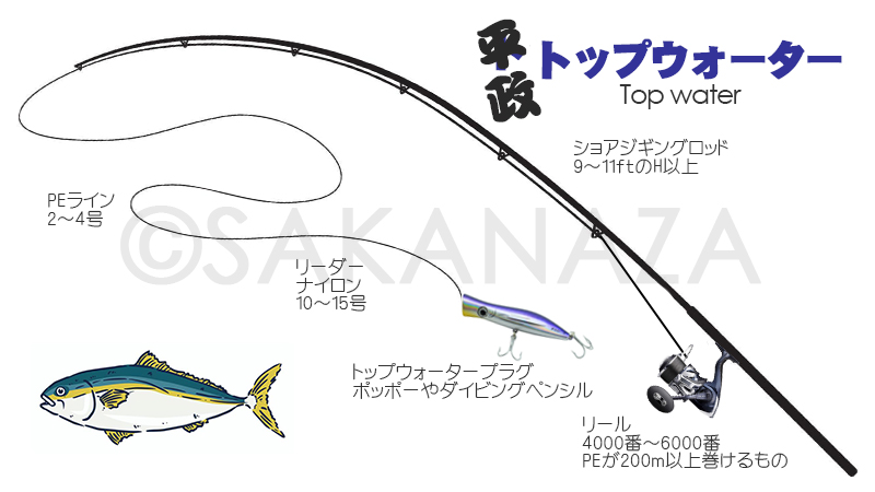 タックル、トップ|ヒラマサの釣り方