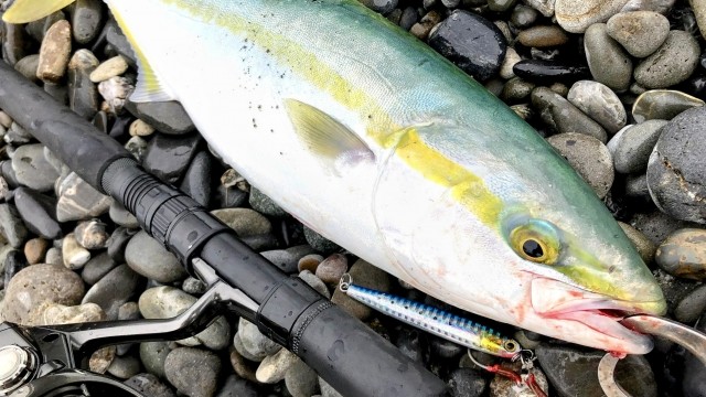 うねりや強風時の釣り方｜ショアジギング