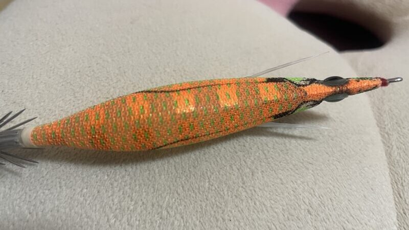 背中の色|エギの色の違いと使い分け方