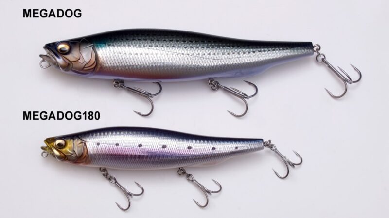 特徴｜メガドッグ180,インプレ