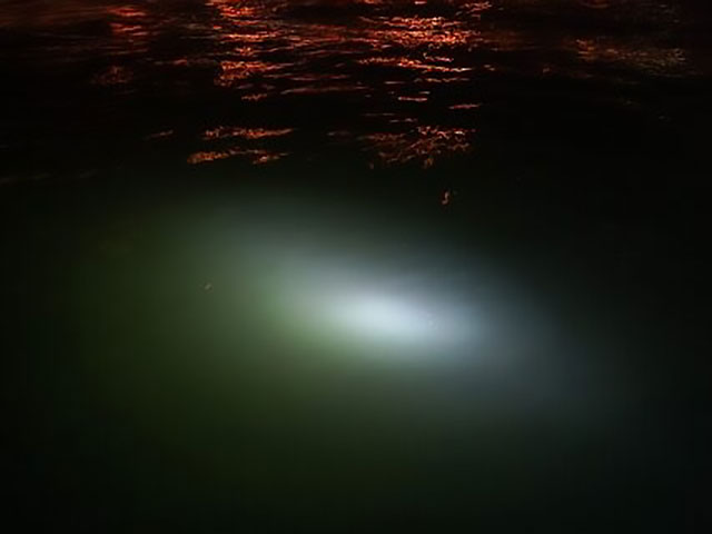 足元の手前から|アジング,夜,ナイトゲーム,釣り方