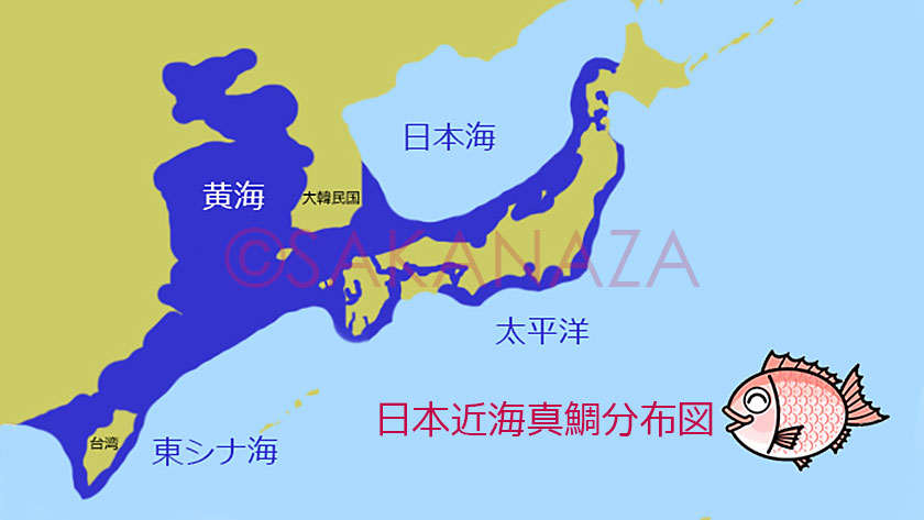 生息分布図｜真鯛の生態と習性