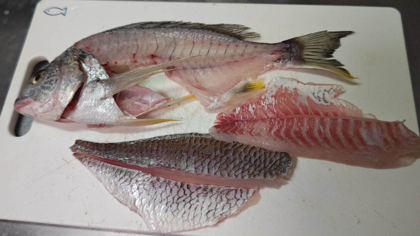 夏はキビレが美味いとされる理由