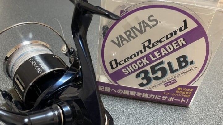 オーシャンレコード,インプレ,ショックリーダー