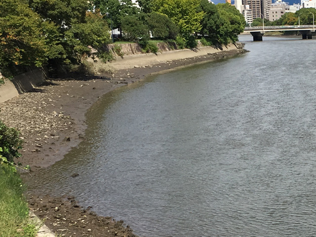 干潮時のシャロー｜シーバス,河川,河口,リバーシーバス,釣り方