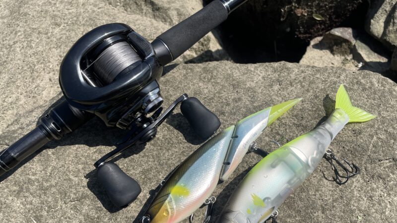 ベイトリールを使う利点|シーバス,ビッグベイト,リール,おすすめ