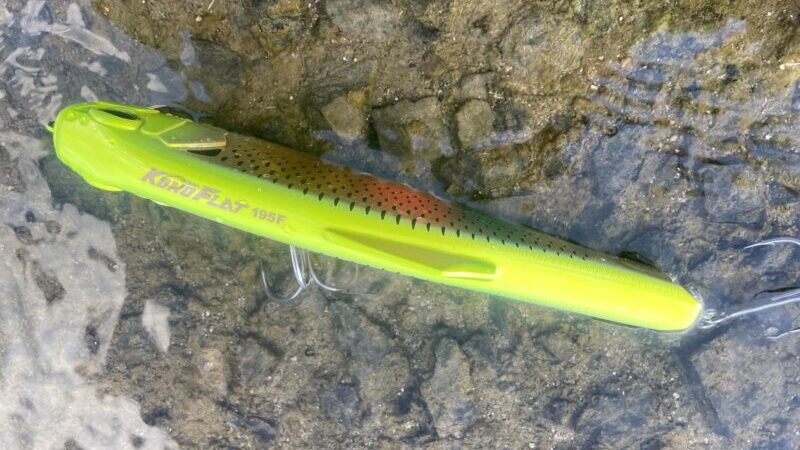 浮き姿勢｜コノフラット190F,インプレ