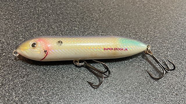 ペンシルベイト|バス釣り,プラグルアー,種類,おすすめ