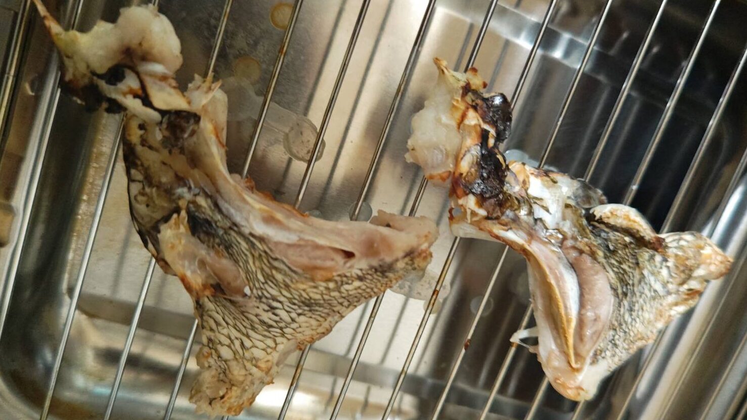 ひと手間、魚の皮目を焼く|魚のパエリア,時短レシピ,釣果メシ