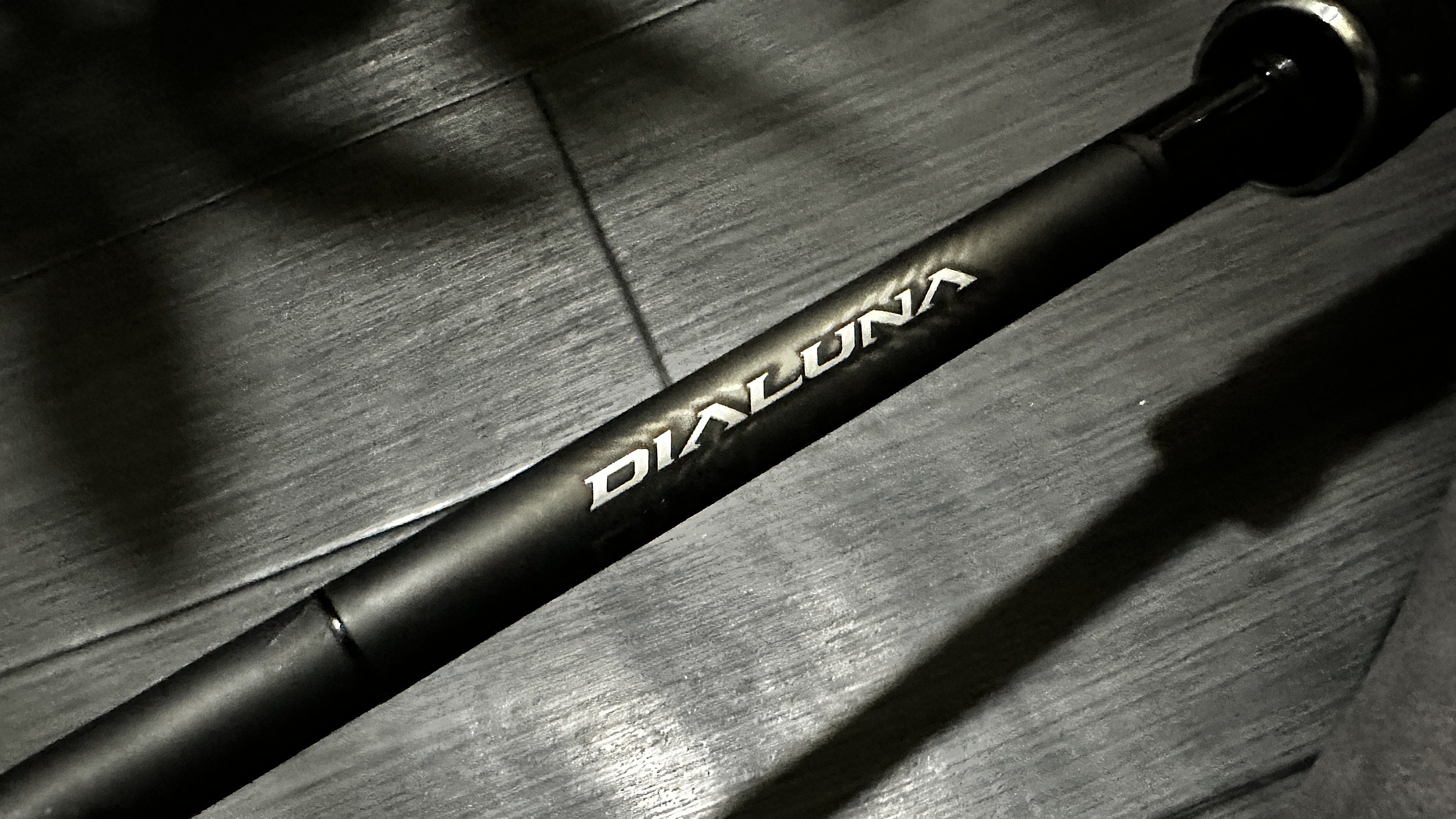 見た目｜ディアルーナB80XH,インプレ,ビッグベイト,リール,シマノ