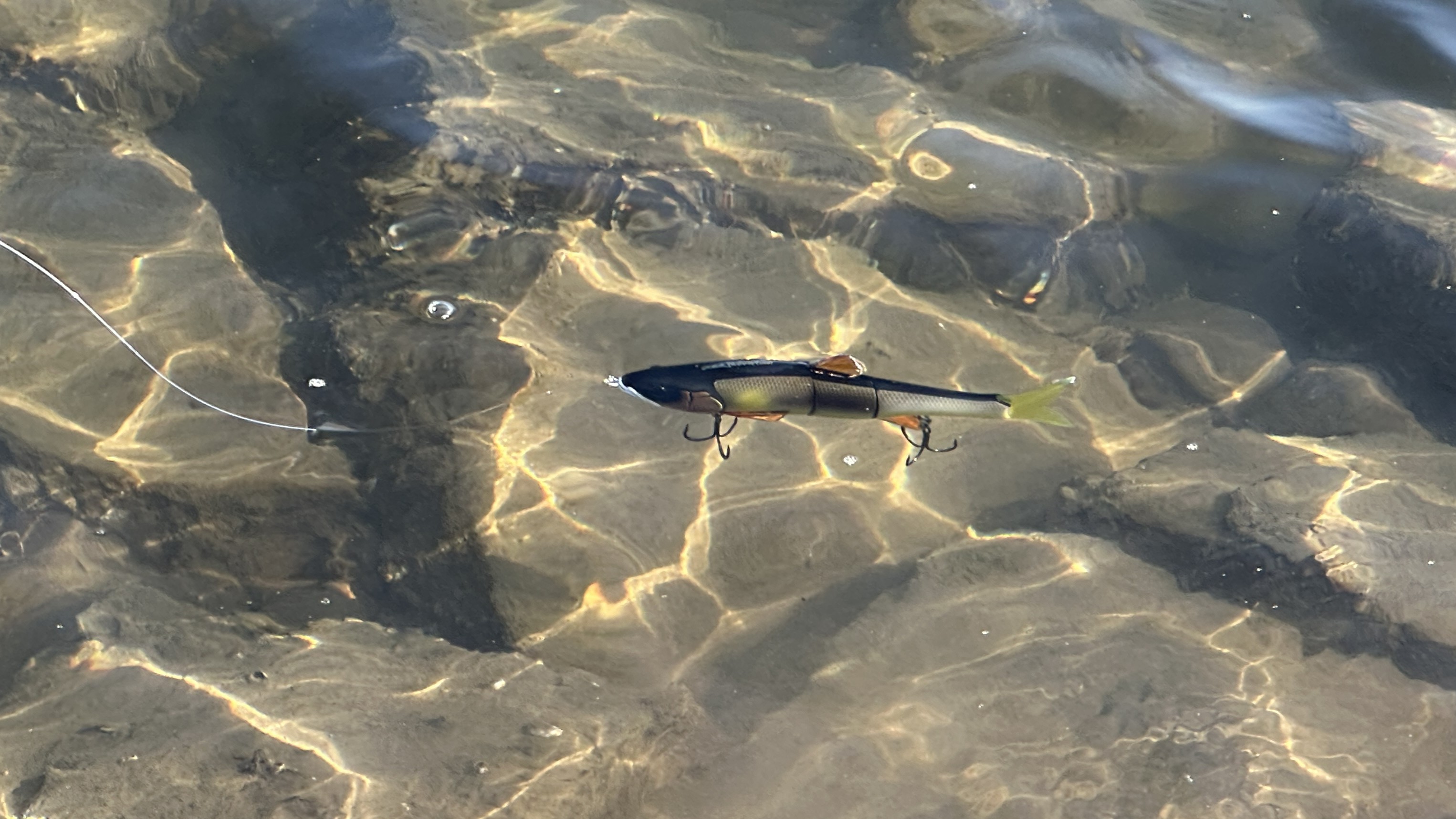 S字スラロームアクション｜ダウズスイマー 220,インプレ,フックサイズ,カラー,シーバス