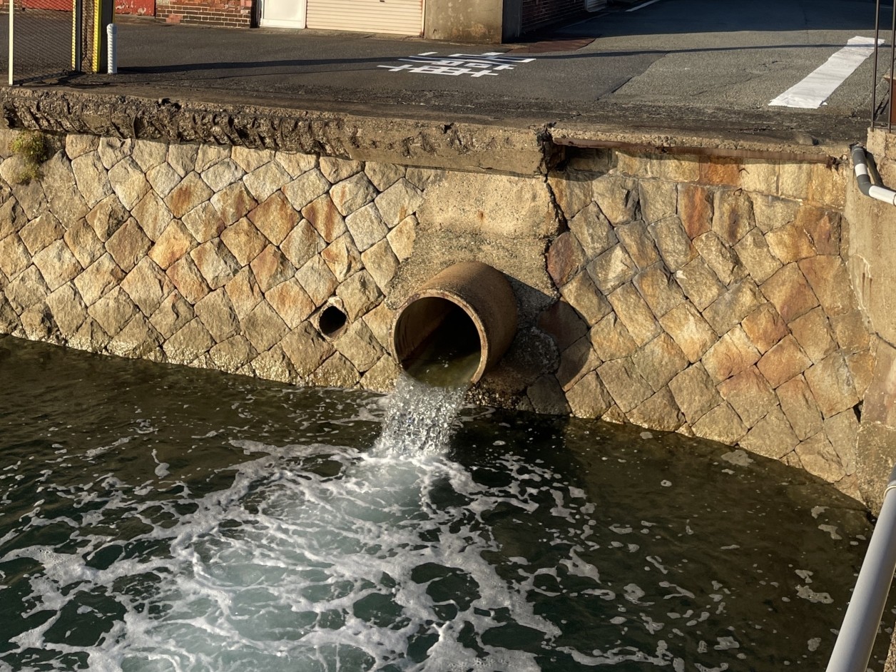 排水口周辺,ポイント|冬,ヒラメ,釣り方,ルアー