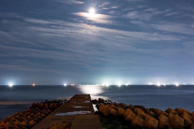 釣れる地域｜ヤリイカエギング,時期,仕掛け,エギ,タックル