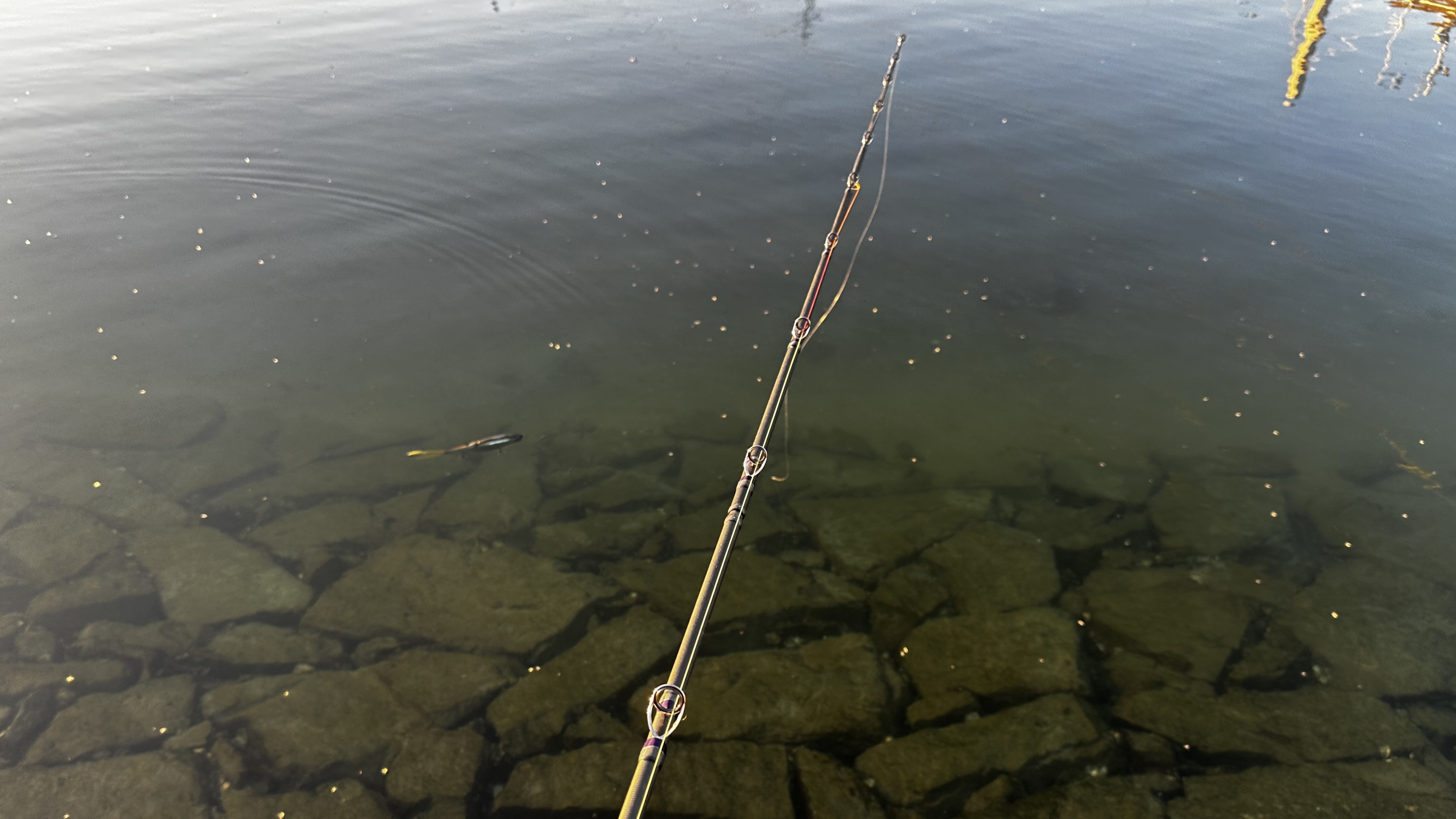 ティップ｜空海CK 710EXHC,インプレ,シーバス,ビッグベイト,ロッド