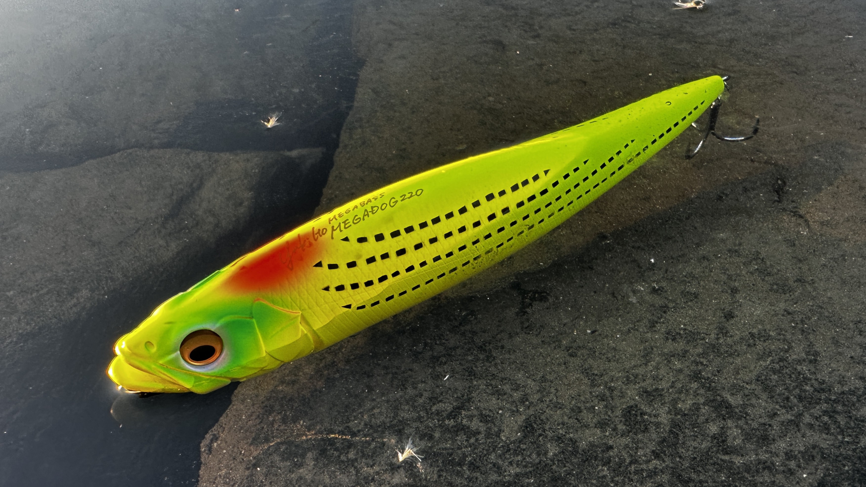 立ち上がり｜メガドッグ 220,インプレ,ビッグベイト,シーバス,使い方