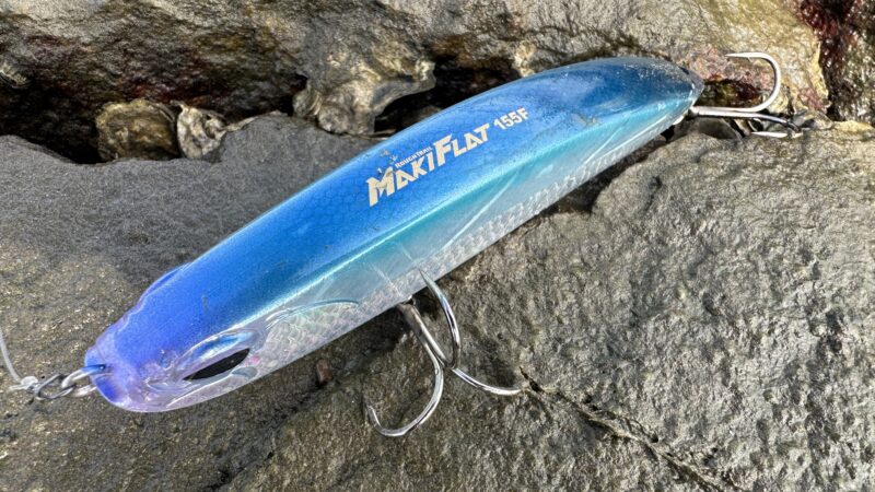 アクション｜マキフラット155F,インプレ,シーバス,ビッグベイト