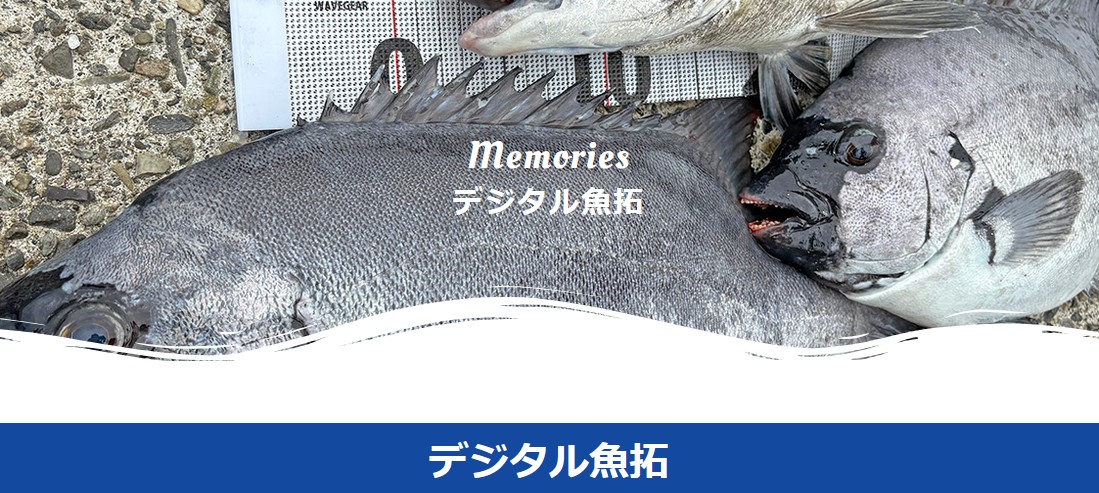 かめや釣り具デジタル魚拓