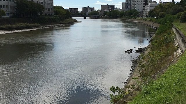 適した条件｜シーバス,ビッグペンシル,おすすめ