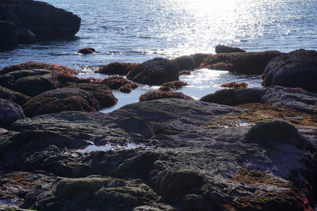 ポイント｜冬,エギング,釣り方